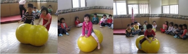 ลูกบอลกายภาพบำบัด บอลถั่ว
