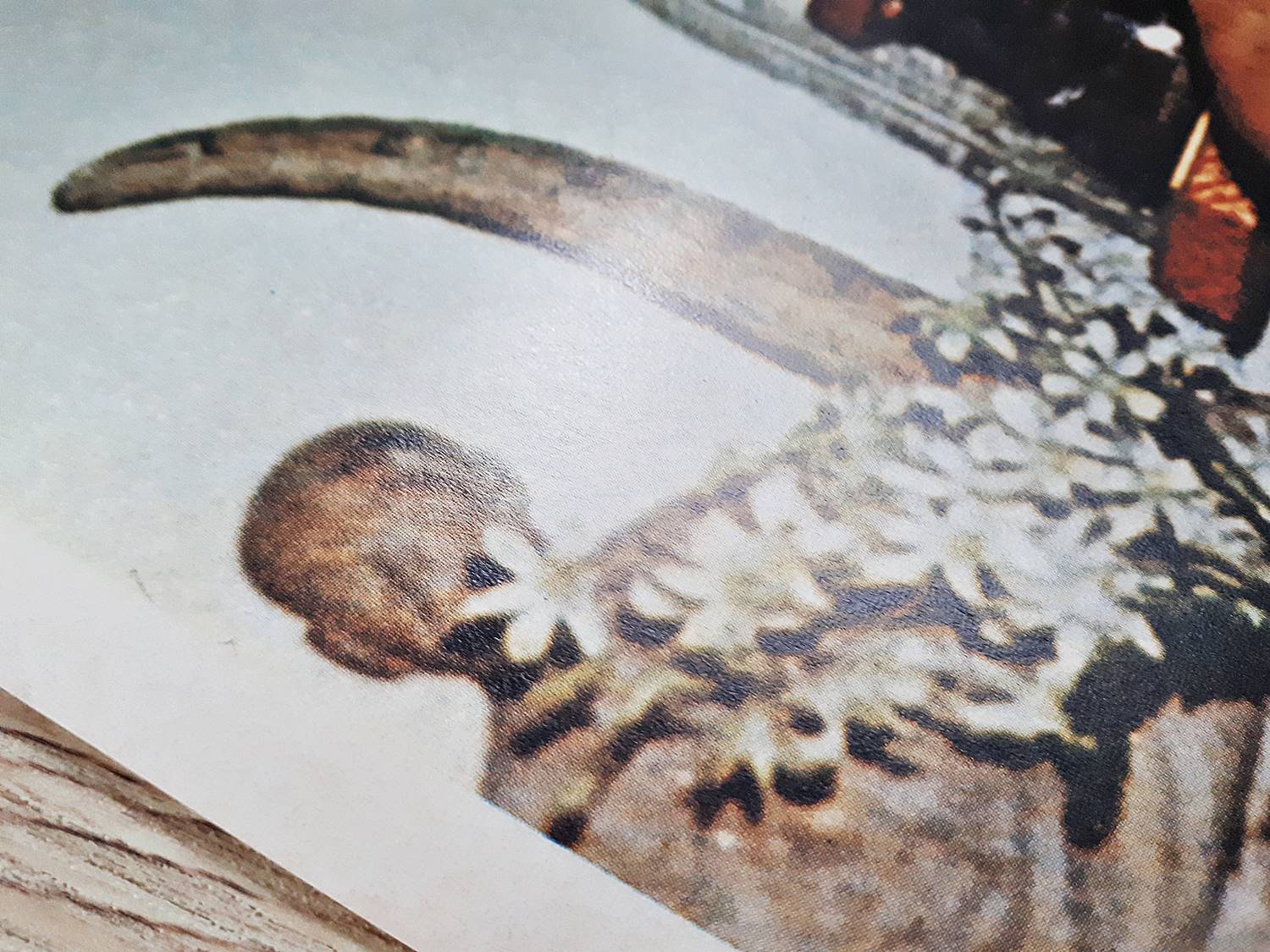 รูปภาพ หลวงปู่ครูบาธรรมชัย ด้านหลัง ยันต์รวม ปี2529 (ก่อนท่านมรณะภาพปี2530) (ขนาด 40-50ซม.) #รับประกันแท้และทัน