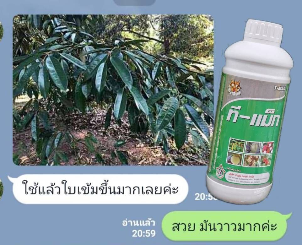 ที-ซีรีย์ อาหารพืช
