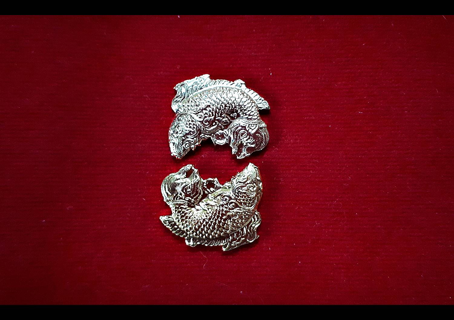 เหรียญปลาอานนท์ (พลิกชีวิตหนุนเสริมดวงชะตา ร้ายกลายเป็นดี) รุ่นแรก ปี2561 #รับประกันแท้ - (หลวงพ่อเล็ก วัดท่าขนุน หลวงพ่อใจ วัดพระยาญาติ ปลุกเสก)