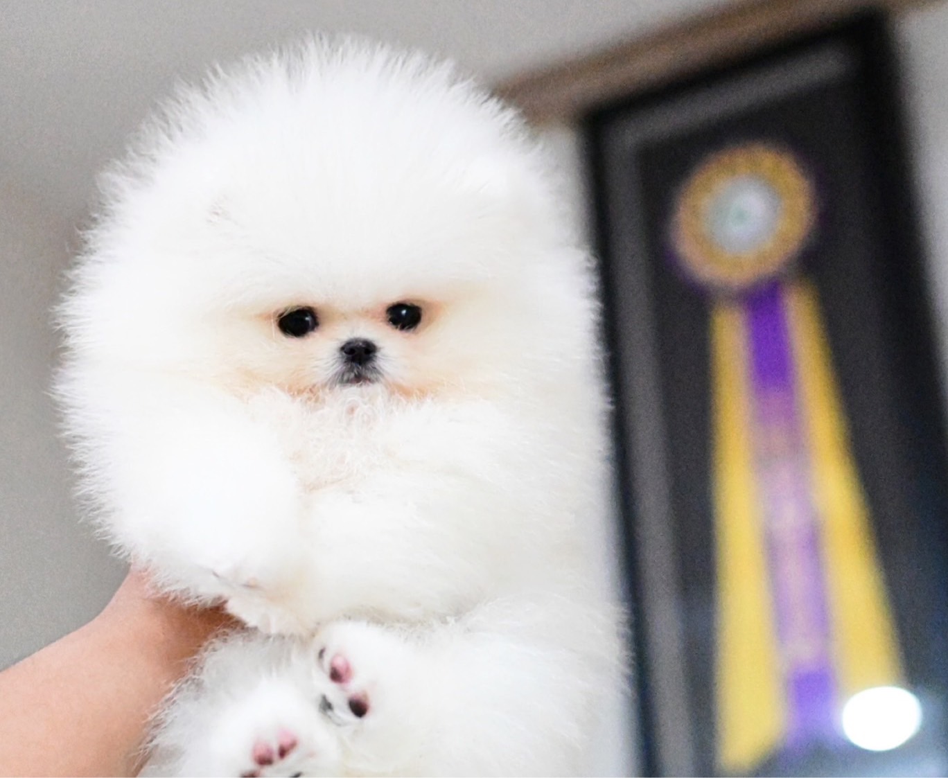 ย้ายบ้านแล้ว