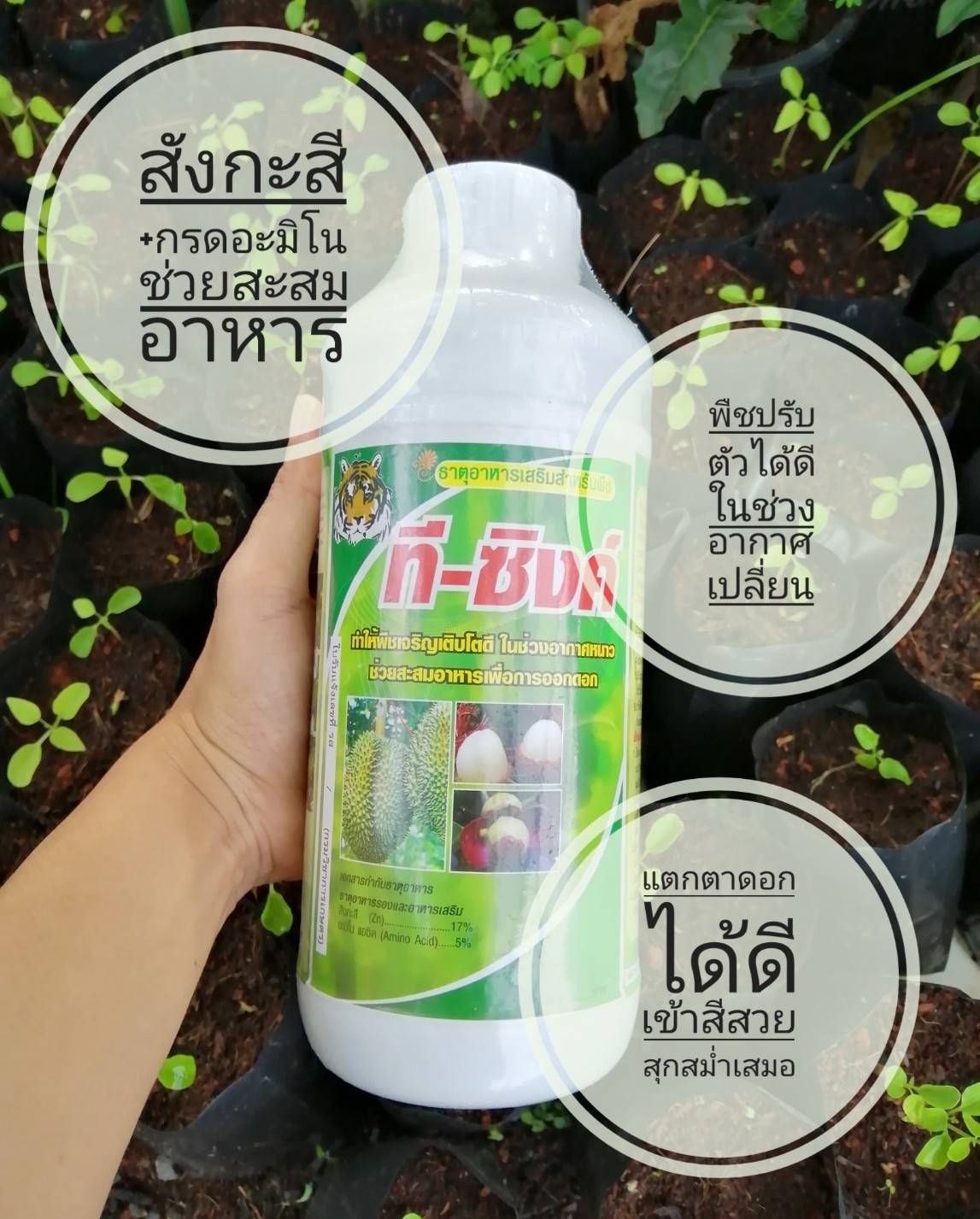 ที-ซีรีย์ อาหารพืช
