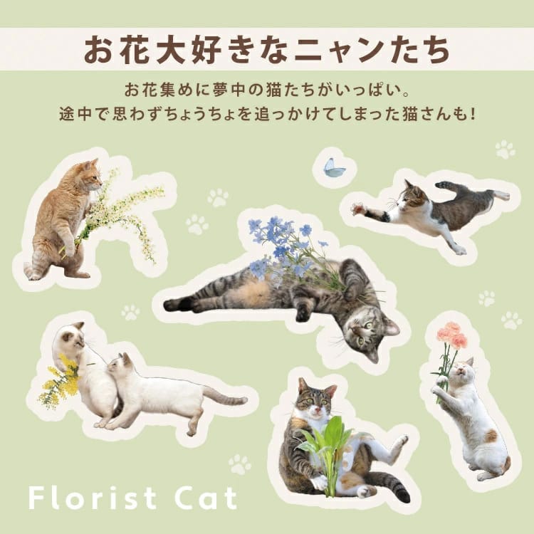 (น้องแมวดอกไม้ สีเขียว 0782) WPC x Masayuki Oki Florist Cat Collection ร่มกัน UV แบรนด์ดังจากญ๊่ปุ่นที่มีจุดเด่นเรื่องความคงทนแข็งแรง แต่น้ำหนักเบา ขนาดเล็กพกพาง่าย มาในคอลเลกชั่นสุดน่ารัก