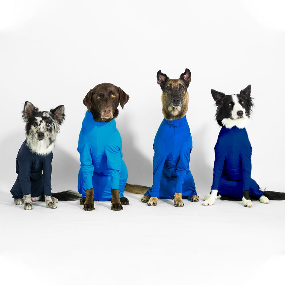 CH4 CHUBBIES Indigo Blues UPF 50+ Onesies ชุดกันขนร่วงสัตวเลี้ยง เสื้อสุนัขในบ้าน ในรถ กันขนร่วงหมา ป้องกันเลียแผล