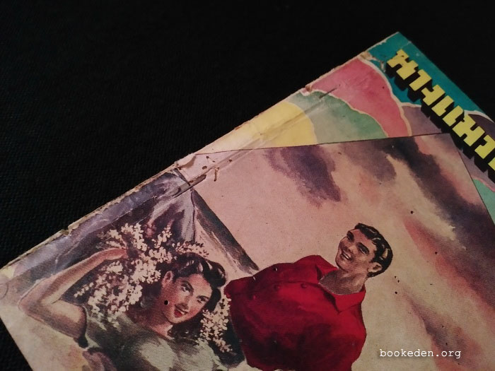 นางแมวป่า เล่มจบ **หนังสือชำรุด