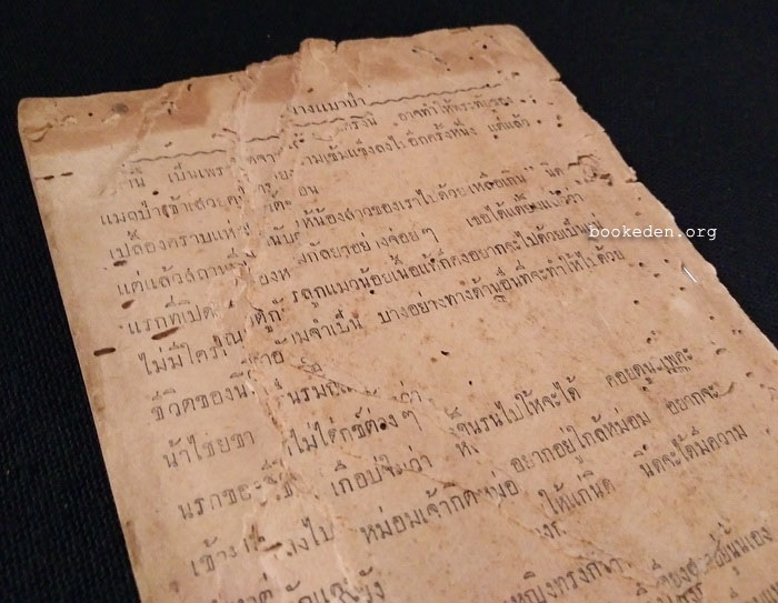 นางแมวป่า เล่มจบ **หนังสือชำรุด