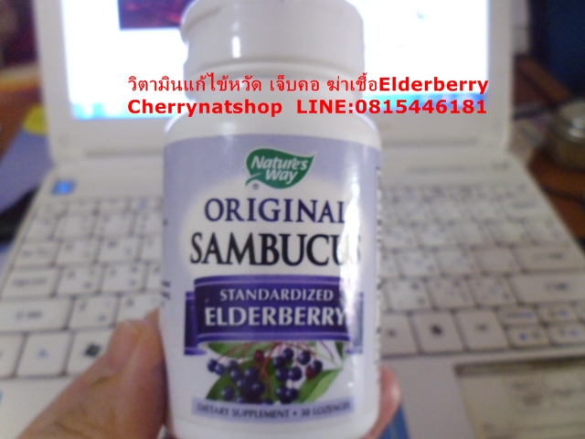 วิตามินสกัดจากผลElderberry Nature'sWay Original Sambucus Standardized Elderberry 30 Lozenges วิตามินแก้หวัด เจ็บคอชนิดอมสำหรับเด็กและผู้ใหญ่ รสชาติอร่อย ช่วยแก้หวัด คัดจมูก