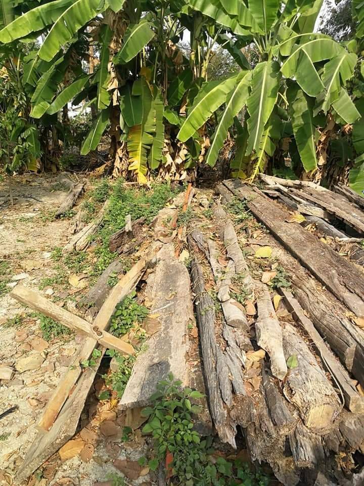 มีดหมอ (มีดลูกพราห์ม) ใบเหล็กดามัสกัส (เหล็กลาย ขึ้นรูปตีเหล็กด้วยโลหะอาถรรพ์ ตีเหล็ก 300ชั้น งานทำมือ) (ยาว9นิ้ว) ปี2563 #รับประกันแท้ - หลวงพ่อเล็ก วัดท่าขนุน