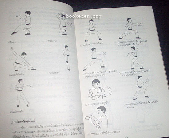 ความรักกับจอมยุทธ์ (มวยจีนเพื่อชีวิตที่ดีกว่า ภาค 2)