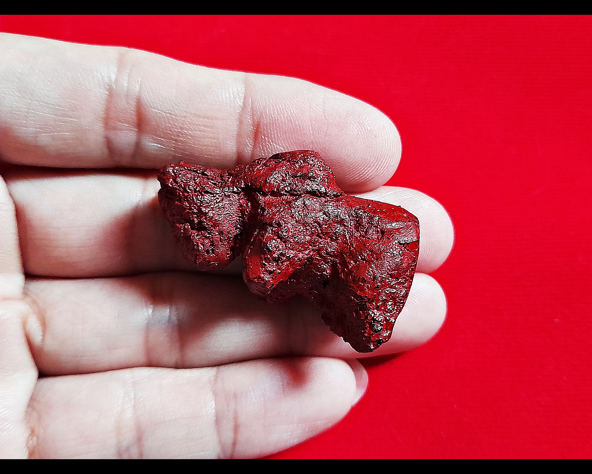 วัวธนู (งานปั้นมือ ปั่นจากคลั่งไม้ ลงรัก ฝังตะกรุดที่ก้น ดีนอกดีในตามสูตร) ปี2564 #รับประกันแท้