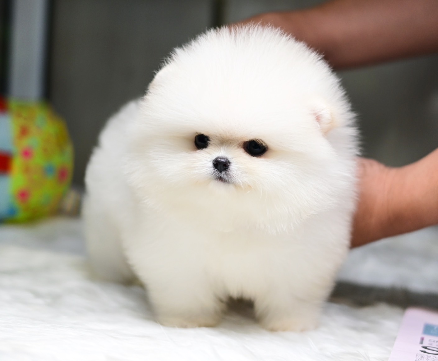 ย้ายบ้านแล้ว
