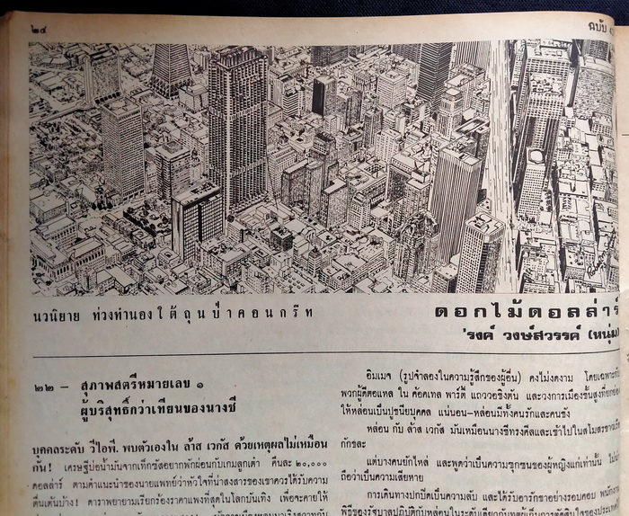 ฟ้าเมืองไทย ฉบับที่ 419