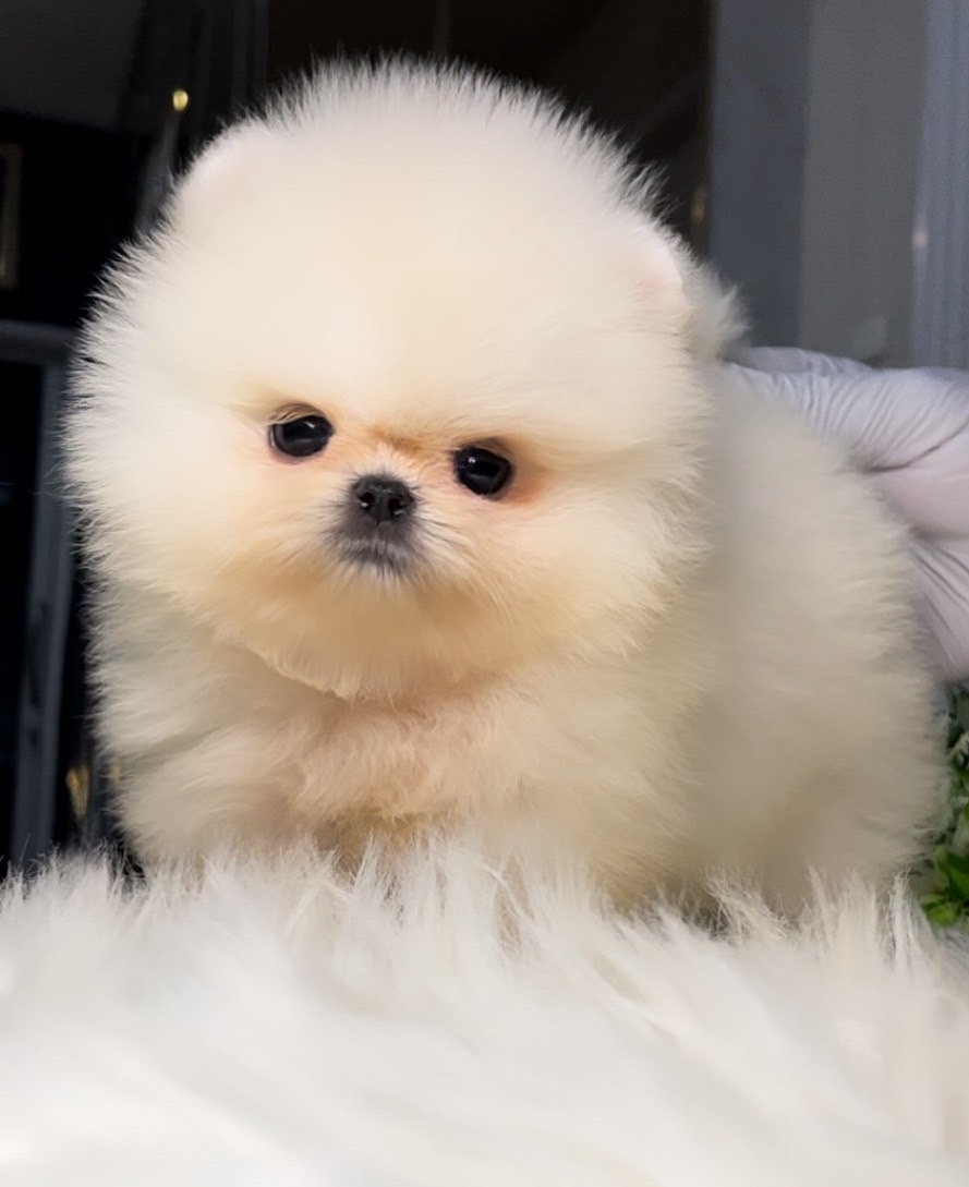 ย้ายบ้านแล้ว