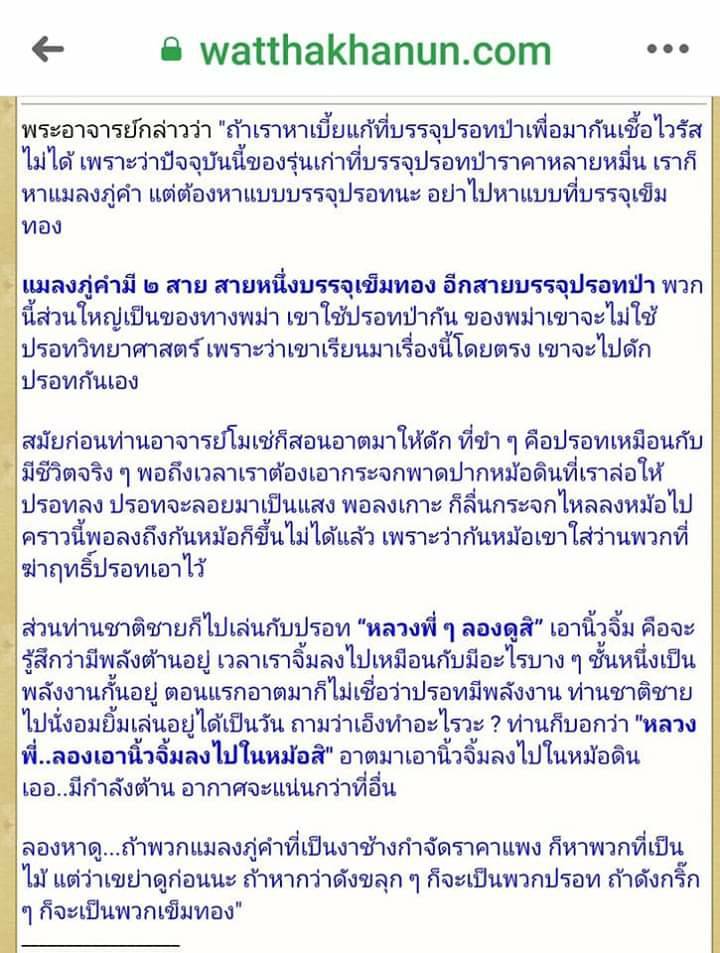 แมลงภู่ (แมงภู่ แมงบู๊) แกะสลัก เนื้อไม้งิ้วดำ (ฝั่งเข็มบรรจุด้วยปรอทป่าแท้) ปี2563