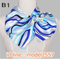 A6107005 ผ้าพันคอ,ผ้าผูกคอ,โบว์ติดเสื้อ,Bow Tile ,กิ๊ปติดผม A6107005 สีภาพ