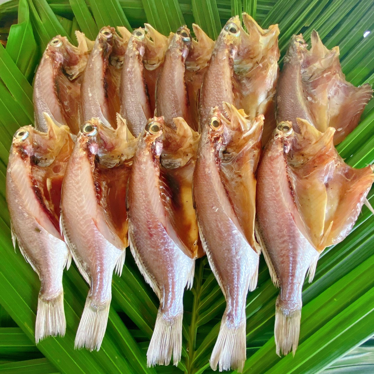 ปลาจวดเนื้อขาว แดดเดียว