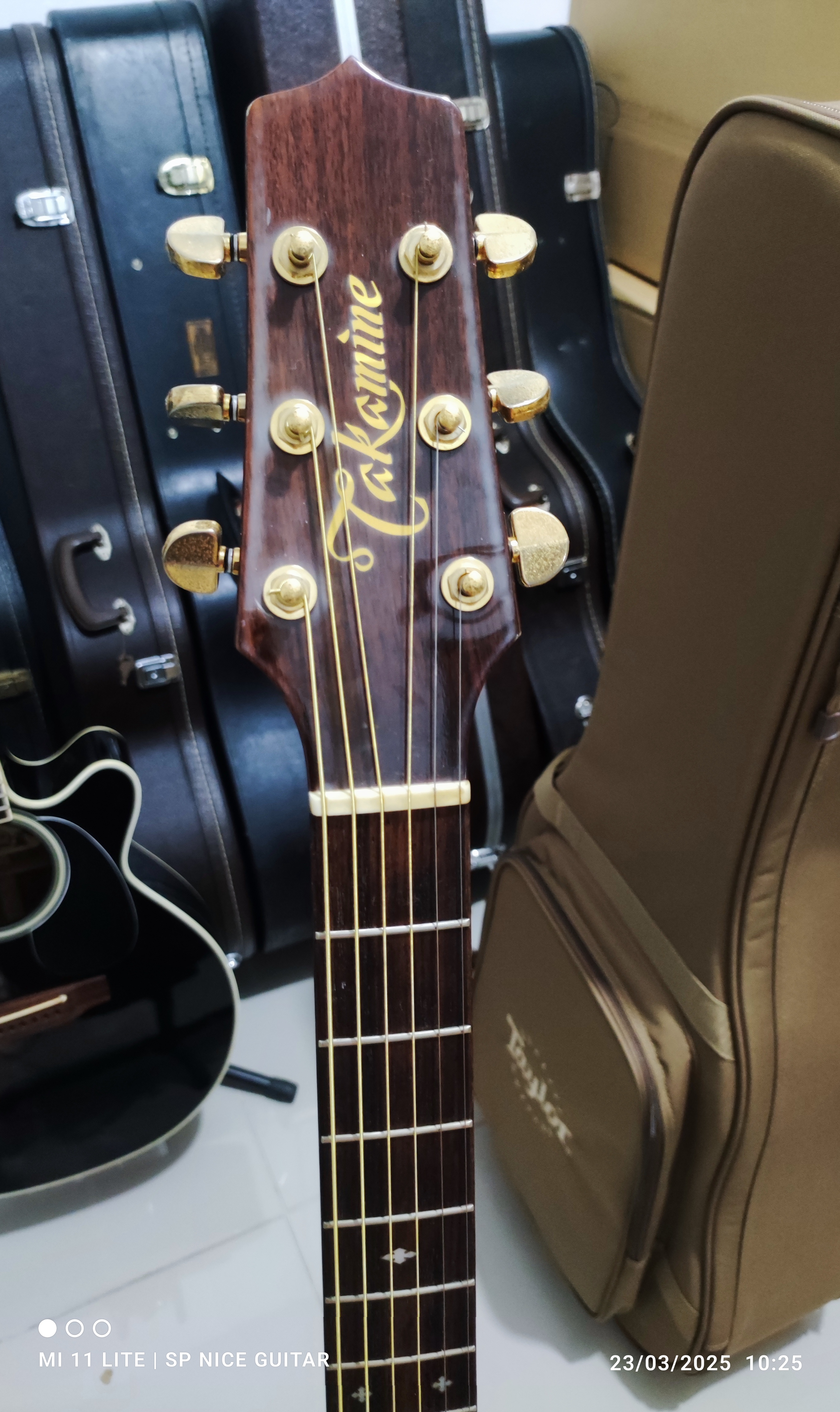 Takamine DSP015-TBS - SP Nice Guitar : Inspired by LnwShop.com (v2)