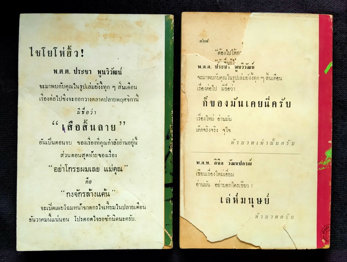 เกือบจะได้แล้วเชียว+เสือสิ้นลาย (2 เล่มจบ)