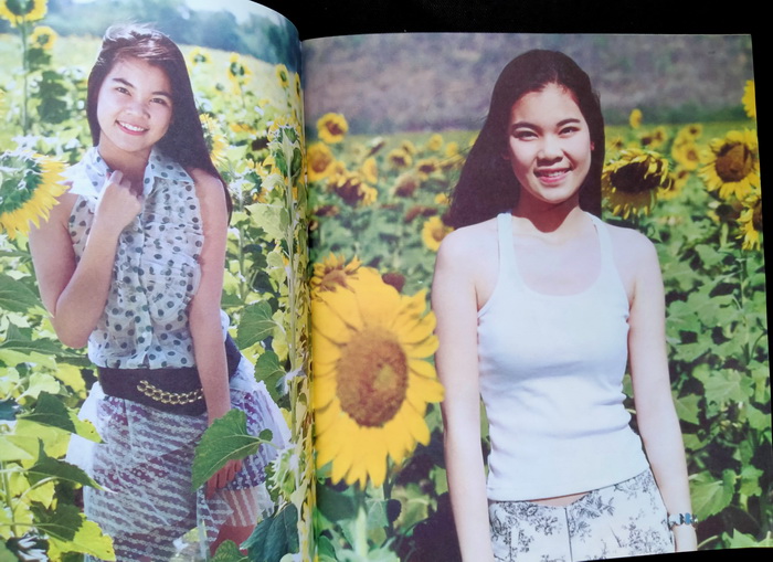 ต้าเจียห่าว ๓.๓