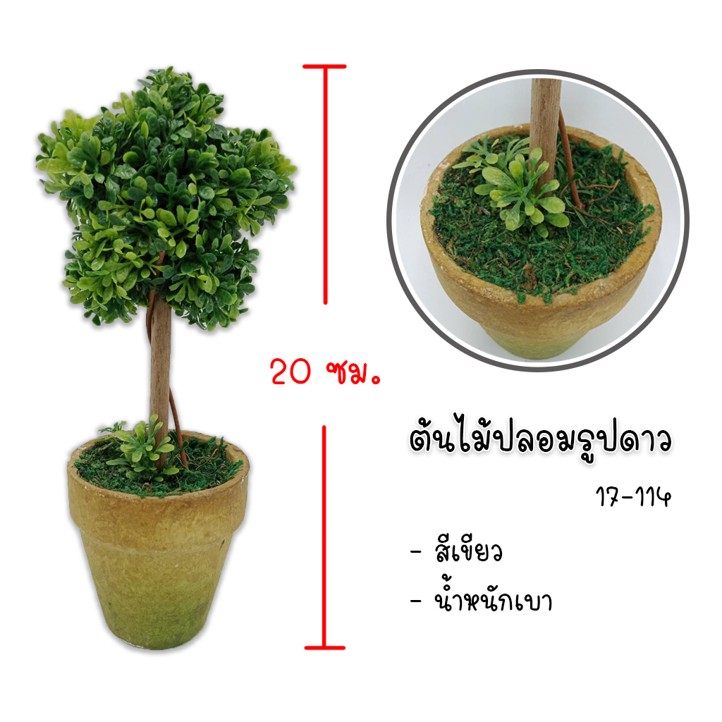 กระถางดอกไม้ รูปดาว