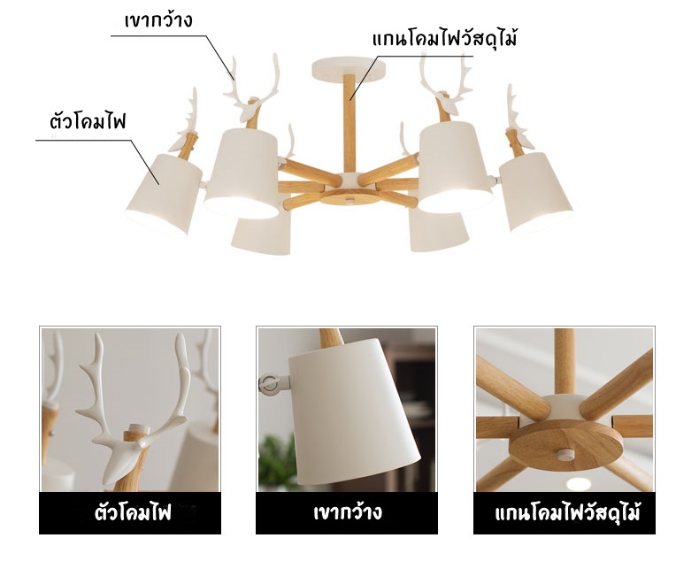 "ลักษณะของโคมไฟ