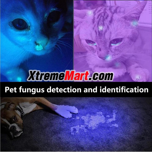 ชุดเซตไฟฉาย UV AloneFire รุ่น SV004 / 501B หลอด LG Ultra VIOLET UV Light 10W 365nm ไฟฉายตรวจธนบัตร, ปัสสาวะสัตว์เลี้ยง