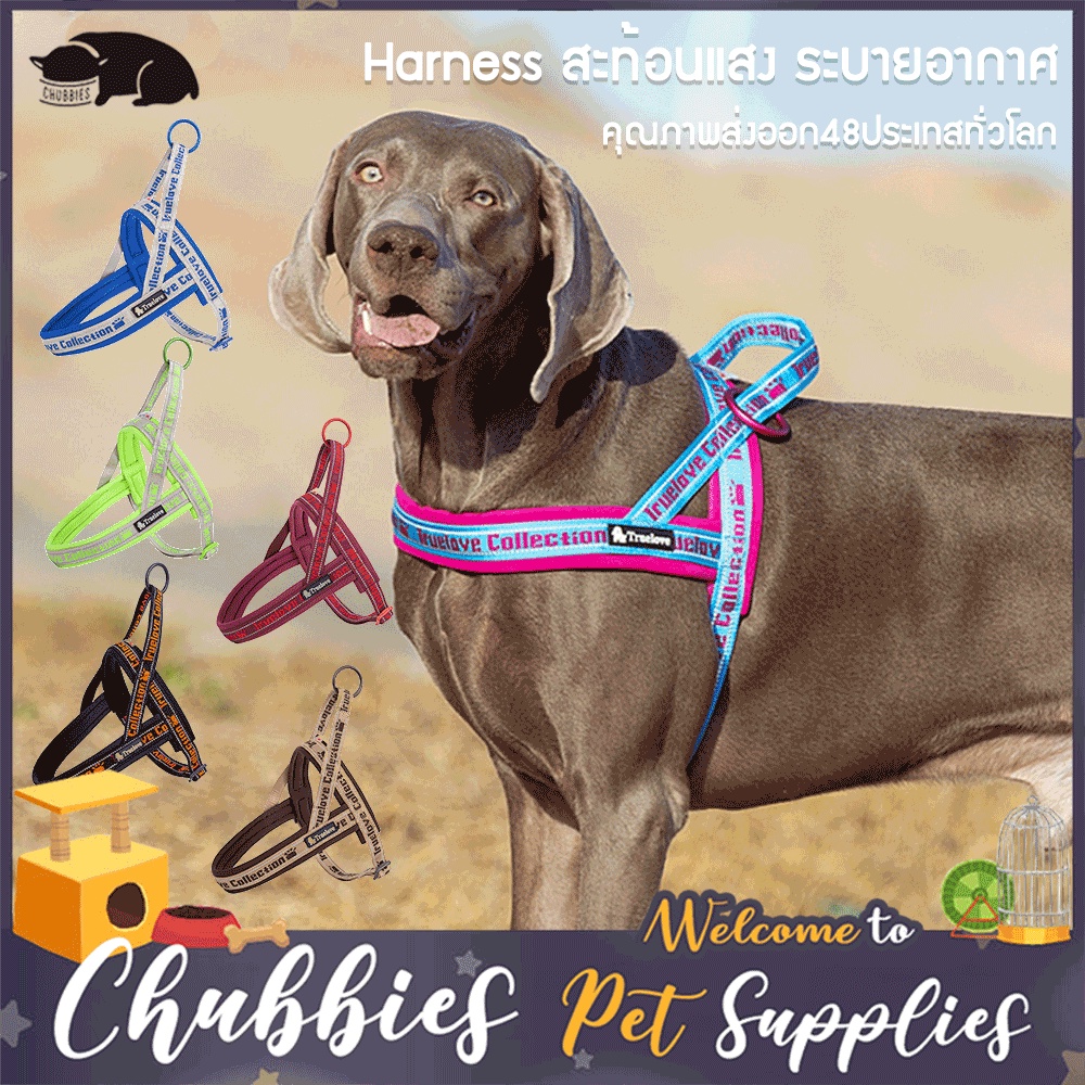 C143 TRUELOVE TH Pet Harness: ปลอกคอรัดอกสุนัข (ใส่ง่ายถอดง่าย) ป้องกันอันตรายจากการกระชาก