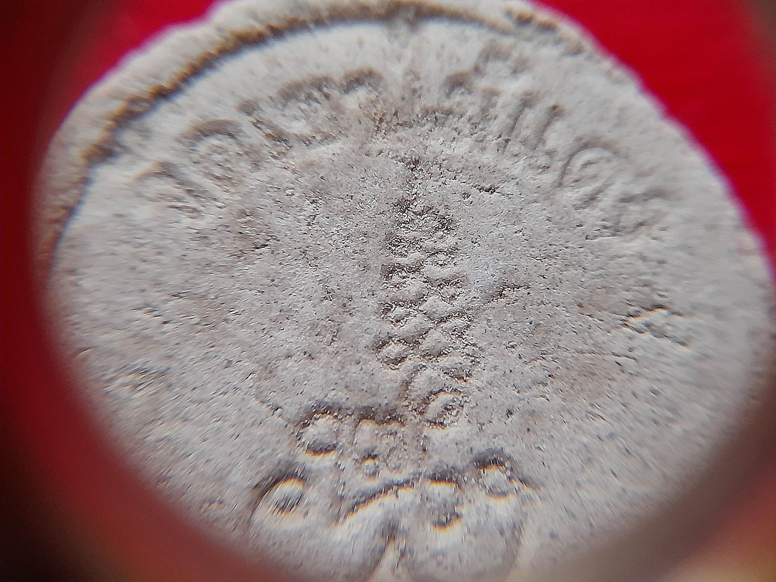 ขุนแผน สะกดทัพ #พิมพ์กลม หลัง ยันต์นะพรชัย (พุทธคุณ สะกดอาถรรพ์ สะกดสิ่งไม่ดี+เมตตา เจรจา ค้าขาย แคล้วคลาด) เนื้อผง ปี2542 (ทิ้งทวน รุ่นสุดท้าย รวมมวลสาร ตลอดยุค) #รับประกันแท้และทัน - หลวงพ่อยงยุทธ วัดเขาไม้แดง จ.ชลบุรี