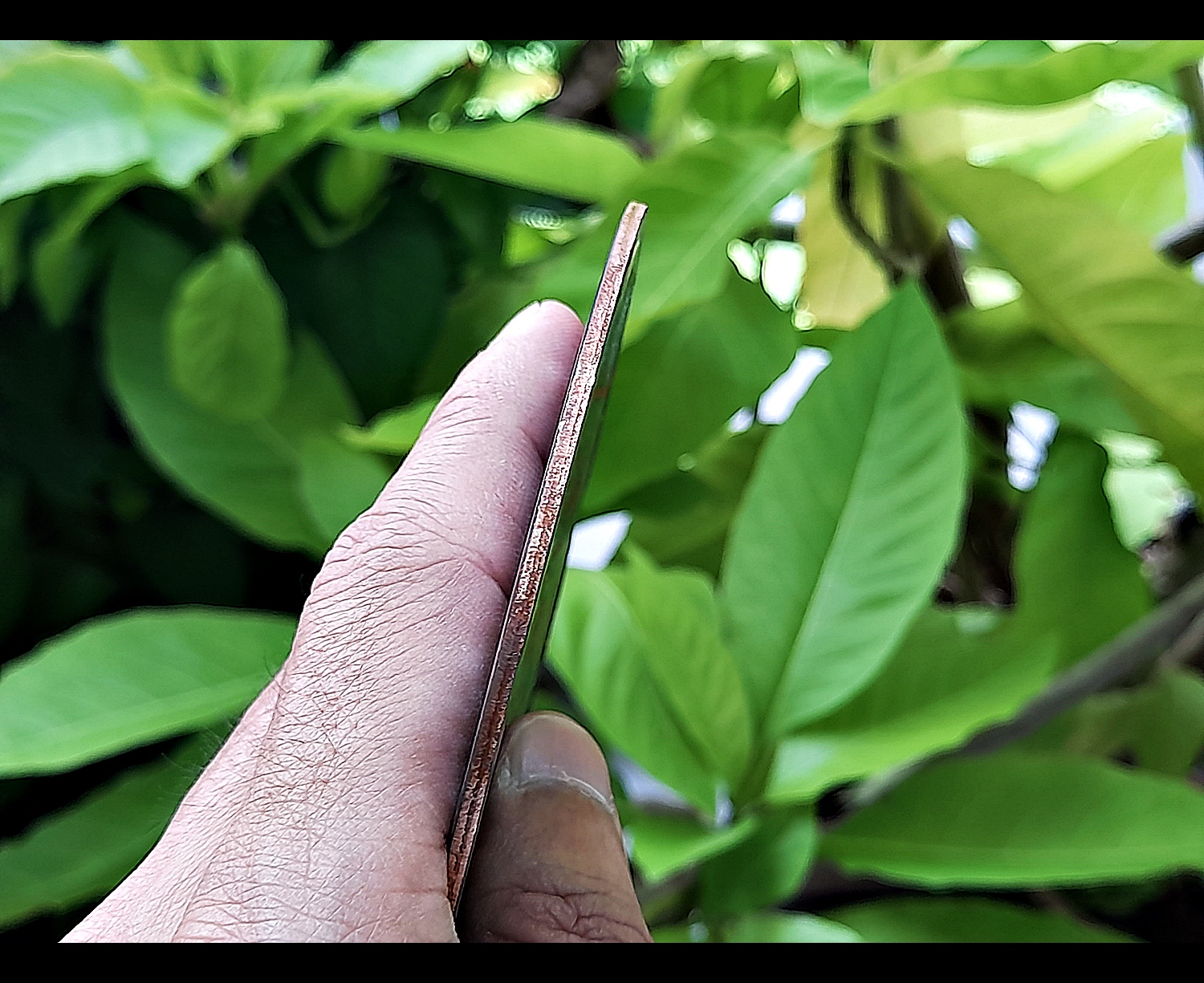 แผ่นยันต์รองกระถางธูป (ขนาดใหญ่4นิ้ว หนา2มิล) เนื้อนวะ(มีส่วนผสมของทองคำ) ปี2564 (ใช้ใส่ในกระถางธูปเพื่อเสริมการบูชาข้อพร) #รับประกันแท้