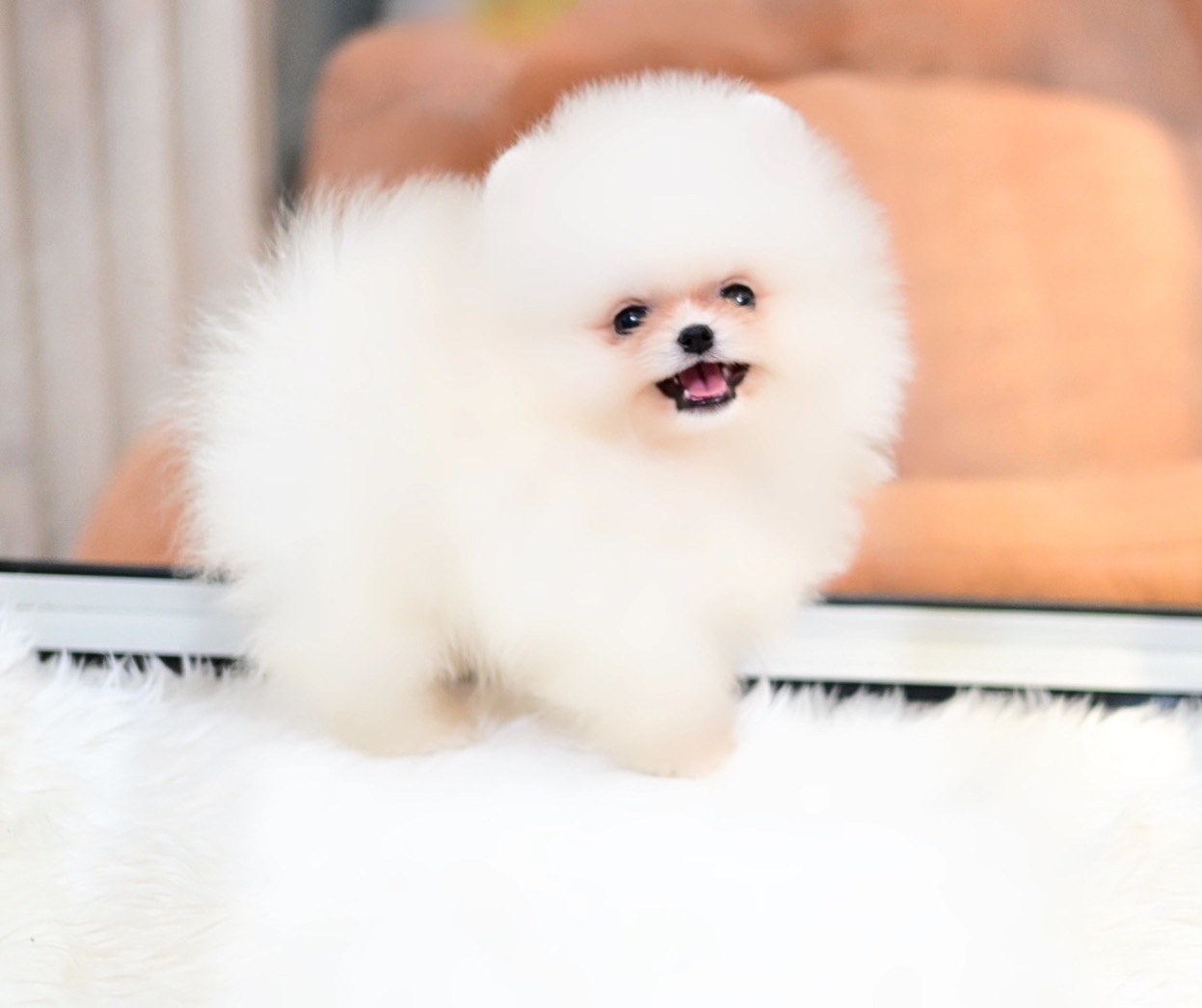 ย้ายบ้านแล้ว