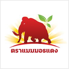 แบรนด์ที่มีจำหน่าย ร้านทุเรียน เรียนไม่จบ