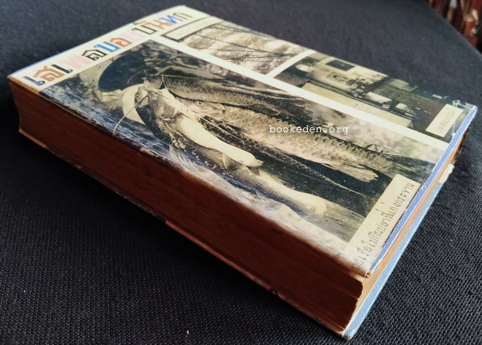 เสเพลบอยบันทึก