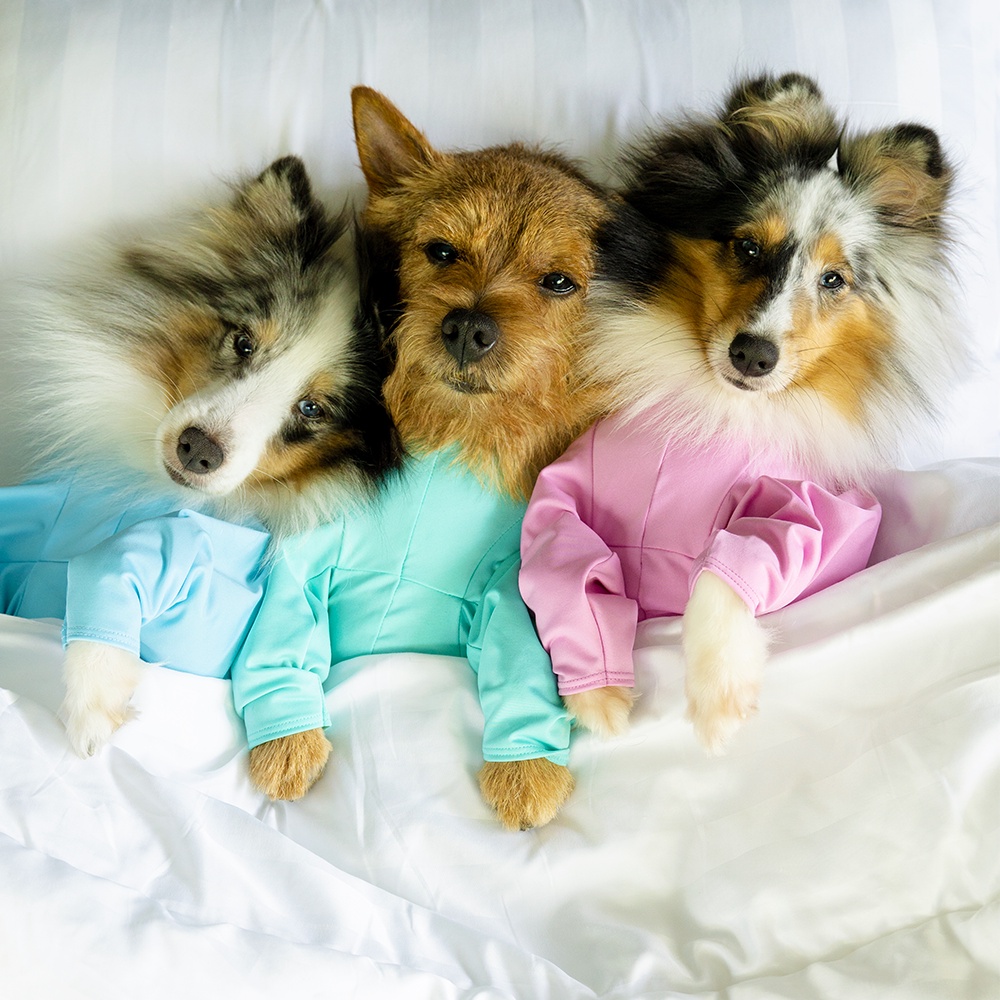 CH2 CHUBBIES Gelato pastel UPF 50+ Onesies ชุดกันขนร่วงสัตวเลี้ยง เสื้อสุนัขในบ้าน ในรถ กันขนร่วงหมา ป้องกันเลียแผล