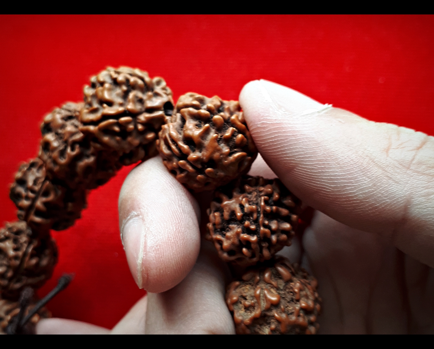 สร้อยข้อมือ ประคํา น้ำตาพระศิวะ เมล็ดรุทรักษะ ของแท้นำเข้าจาก อินเดีย (ขายปลีก ขายส่ง)