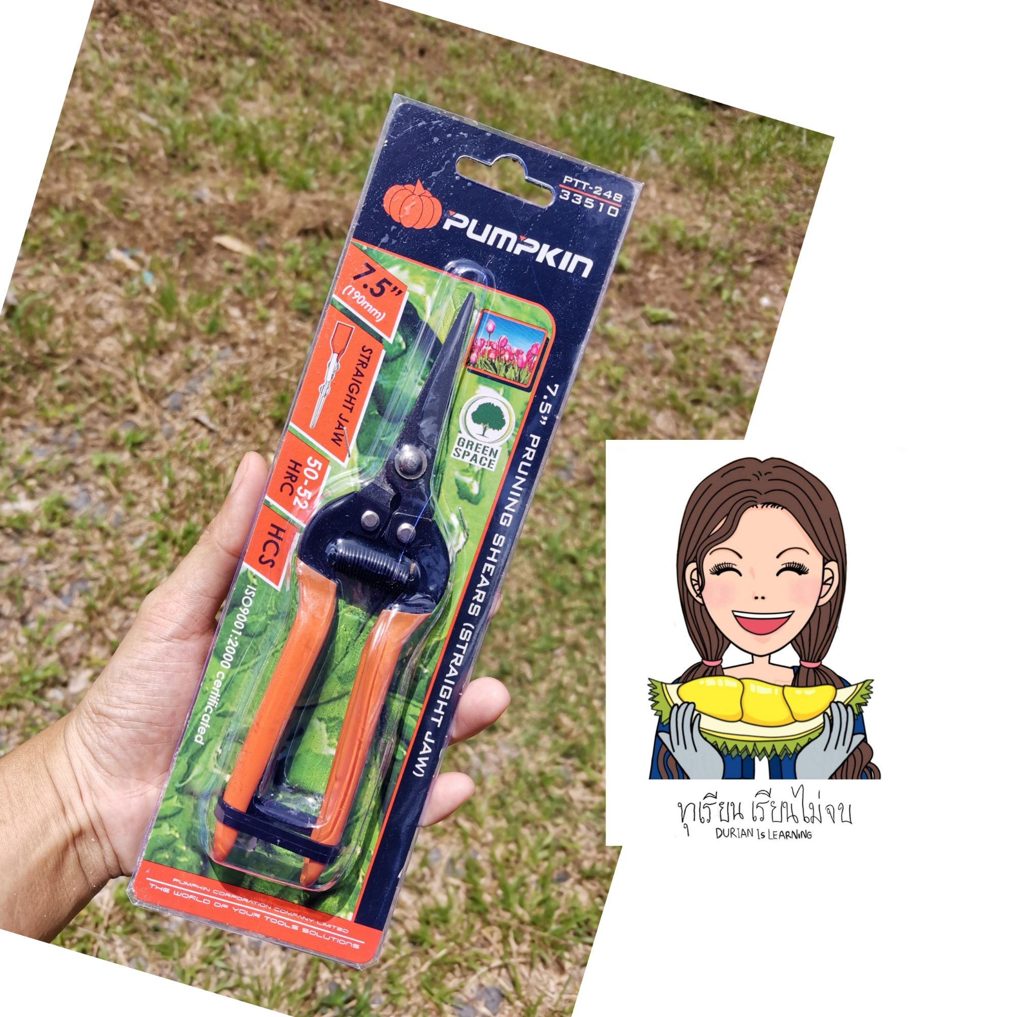 pumpkin กรรไกรแต่งกิ่ง 33510 ขนาด 7.5 นิ้ว