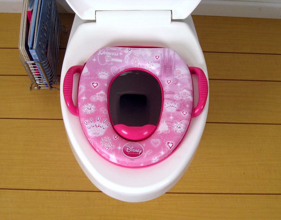 ชุดอุปกรณ์รองนั่งชักโครกพร้อมบันไดสตูล Disney Soft Potty & Step Stool (Disney Princess)