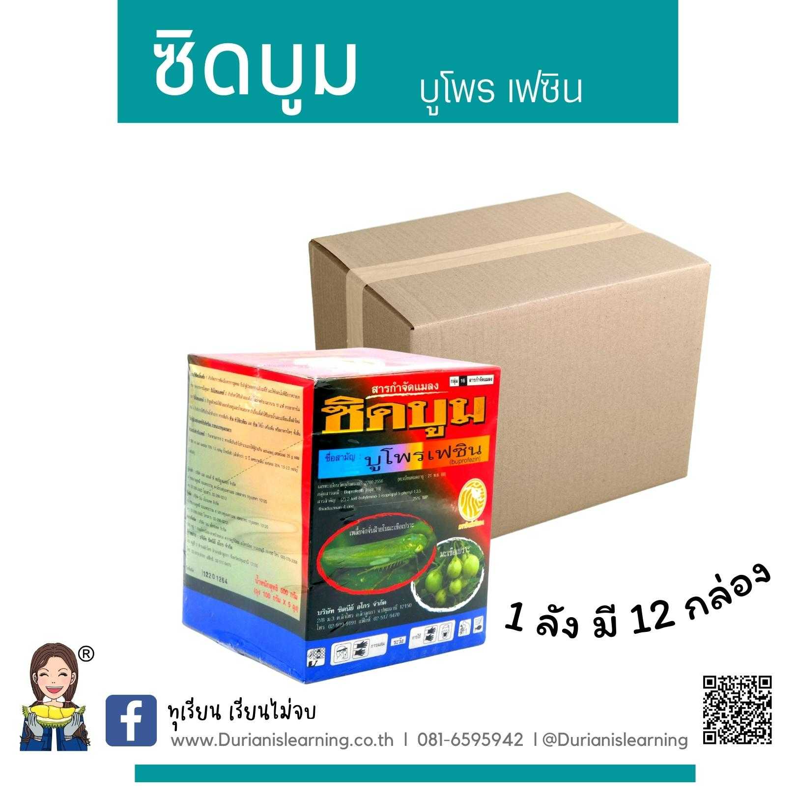 ซิดบูม บูโพรเฟซิน ชนิดผง ขนาด 100 กรัม
