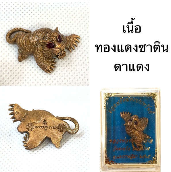 ยอดพยัคฆ์ตะปบทรัพย์ เนื้อทองแดงซาติน ตาแดง หลวงพ่อยอด โกลโล วัดตะคร้อ จ.นครราชสีมา
