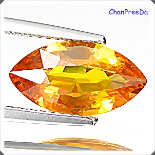 พลอยบุศราคัม (YELLOW SAPPHIRE) รูปมาคี น้ำหนัก 2.47 กะรัต ขนาดตามใบเซอร์ 6.82x12.55x3.78 มิล สีเหลืองออกส้ม เกือบจะเป็นสีแม่โขง มองตาเปล่าสะอาด