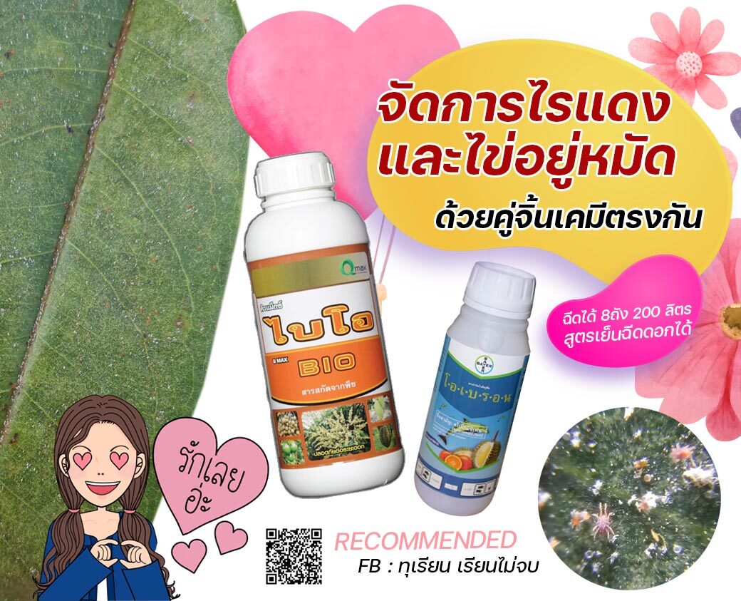 ผลิตภัณฑ์สำหรับจัดการปัญหาไรแดง โอเบรอน และคิวแมกซ์ไบโอ