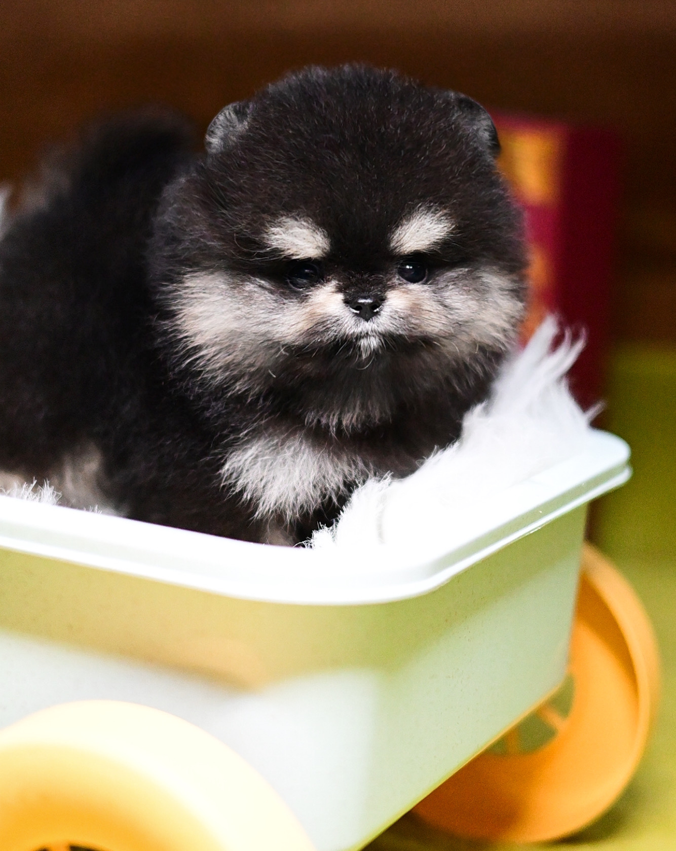 ย้ายบ้านแล้ว