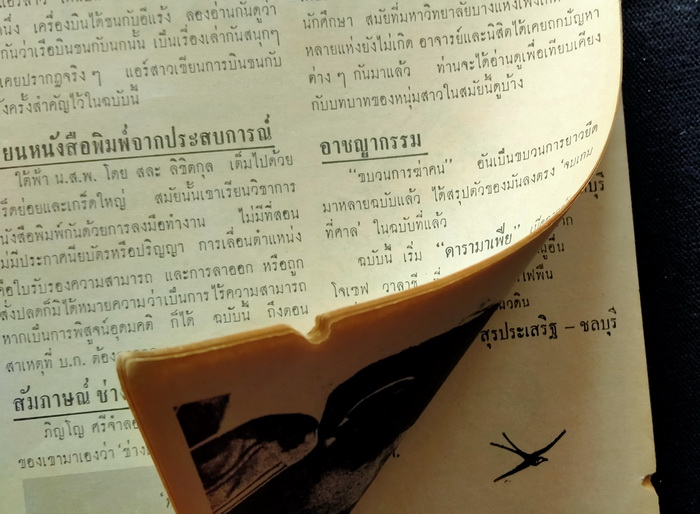 ฟ้าเมืองไทย ฉบับที่ 240