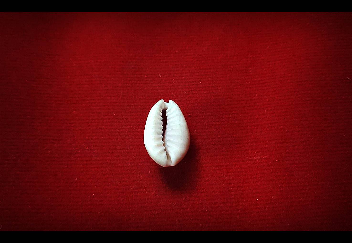 เบี้ยแก้จน (จารยันต์ "นะ และ อุนาโลม" ) - (เข้าพิธีลูกแก้วจักรพรรดิ) ปี2562 #รับประกันแท้