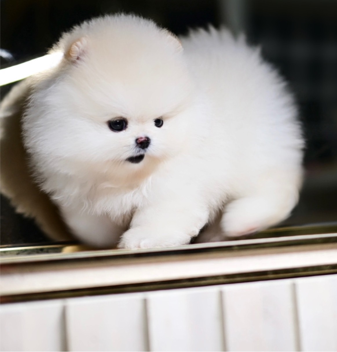 ย้ายบ้านแล้ว