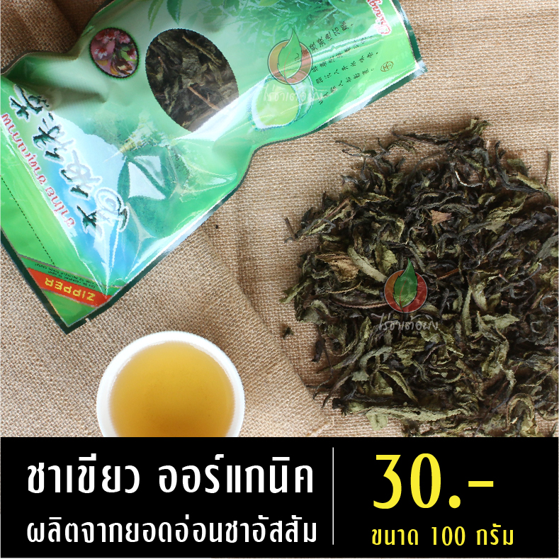 ชาเขียว (ยอดชา)