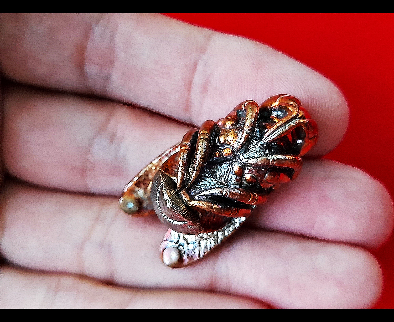 พญาแมลงภู่คำ กายสิทธิ์(สีเหลือบรุ้ง) เนื้อโลหะธาตุกายสิทธิ์ เหล็กไหลสุริยันราชา ผสมชนวนเนื้อเงินมหาสะท้อน ก้นบรรจุปรอทตามตำรา ปี2564 (ปลุกเสก16พิธี มหาโสฬสมหามงคล) #รับประกันแท้