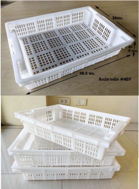 P11393 ลังปลาหมึก #407 ลังห้องเย็น ลังโปร่งสลับซ้อน (36*48.5* 9 cm.) Food grade (ราคาส่งต่อ 1 มัด: 20 ใบ:เฉลี่ย 90 บต่อใบ)
