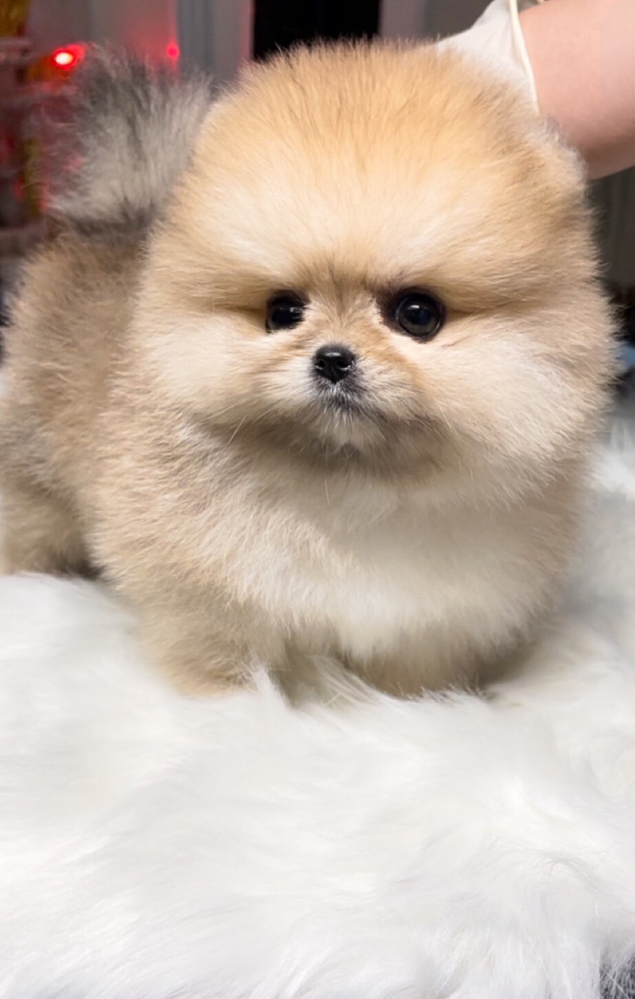 ย้ายบ้านแล้ว ผช
