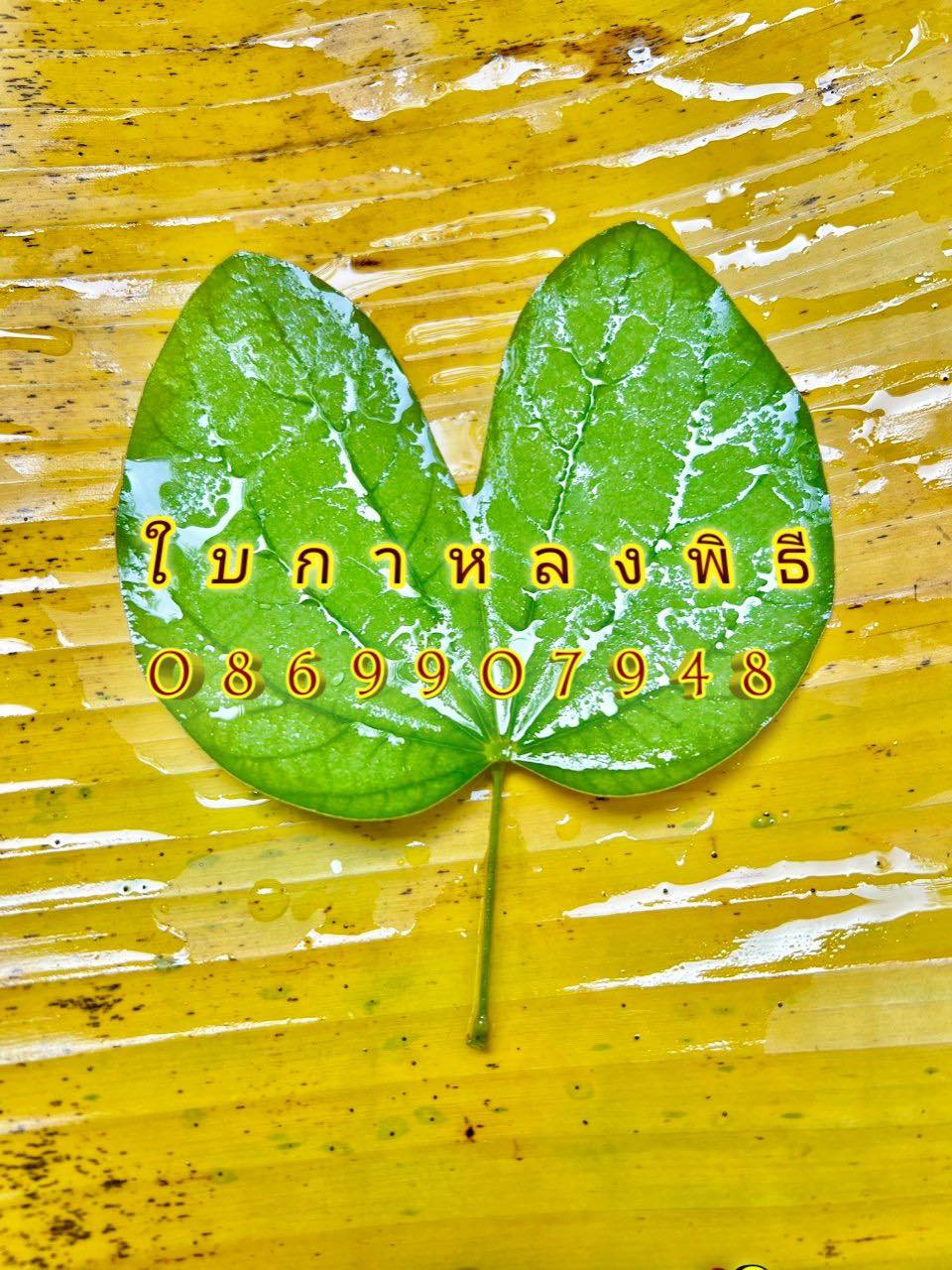 ต้นอ้อยพิธี (บวงสรวง)