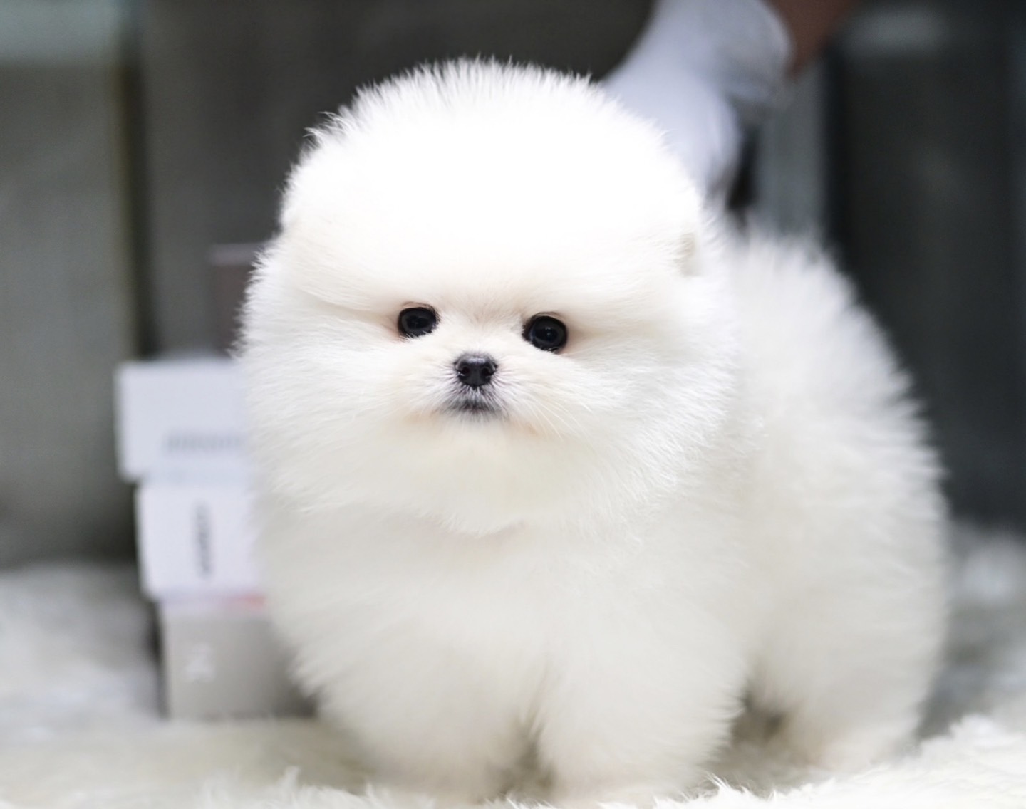 ย้ายบ้านแล้ว
